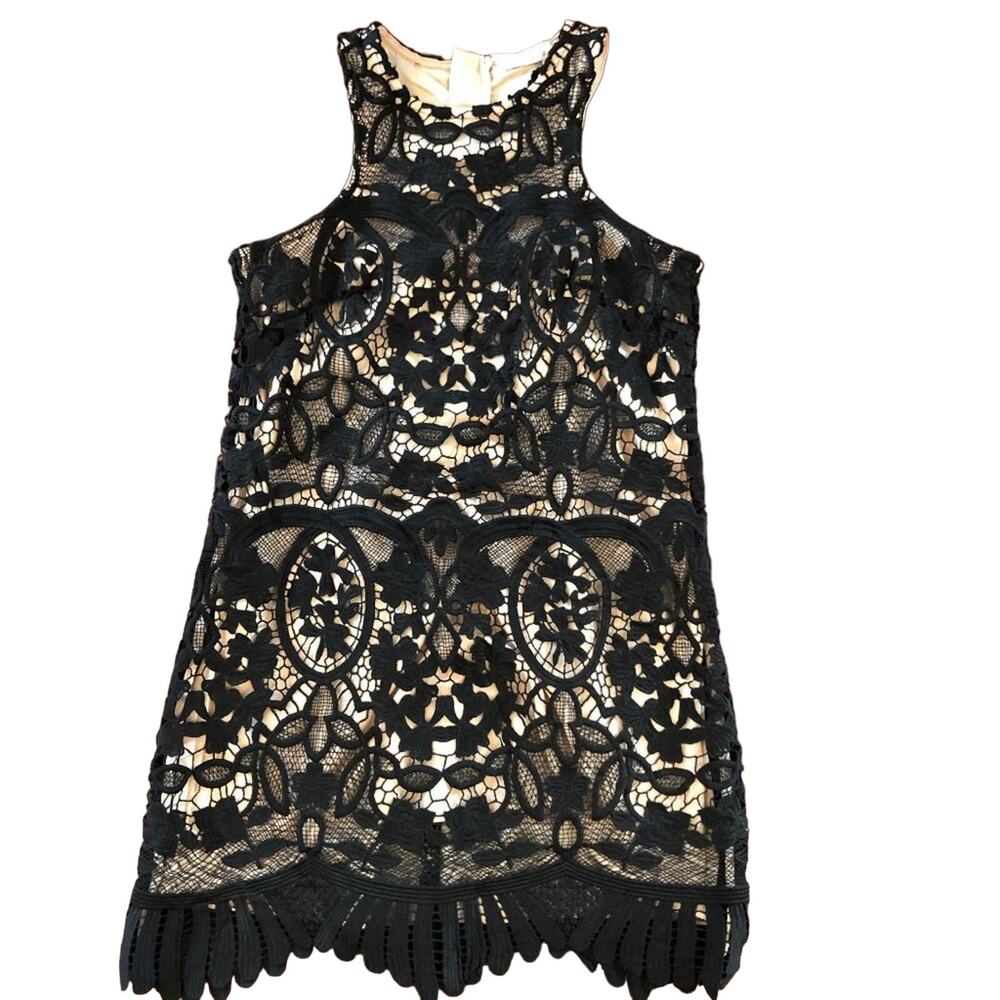 Lovers + Friends Revolve Caspian Black Lace Mini Dress